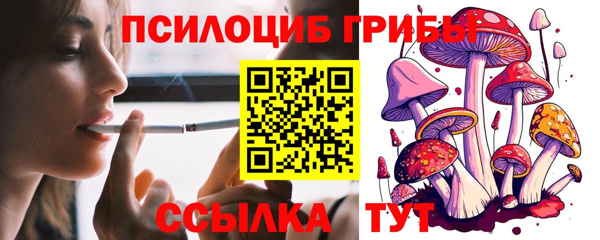 Галлюциногенные грибы Psilocybine cubensis Люберцы